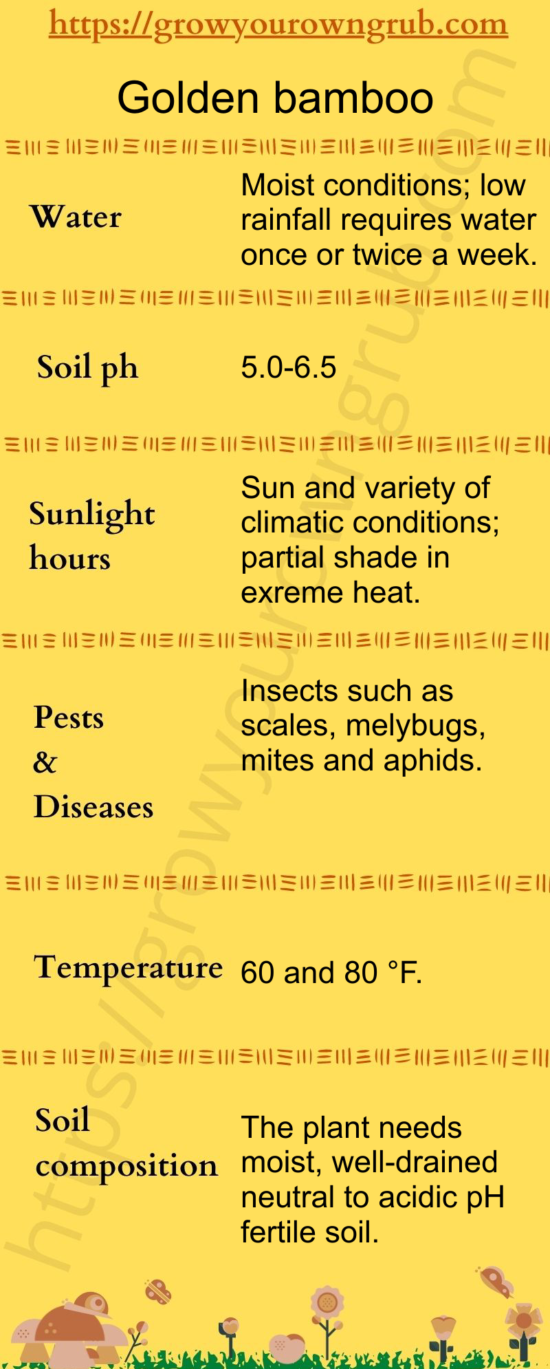 How to grow Golden Bamboo at home Grow your own Grub!