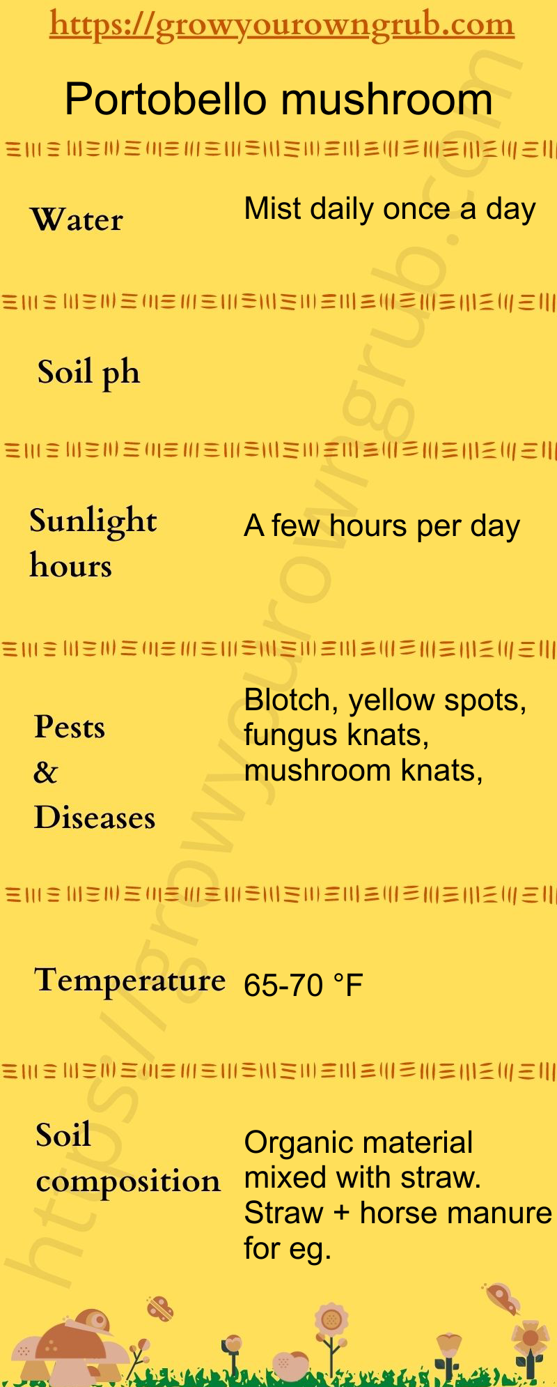 How to grow Portobello mushrooms Grow your own Grub!