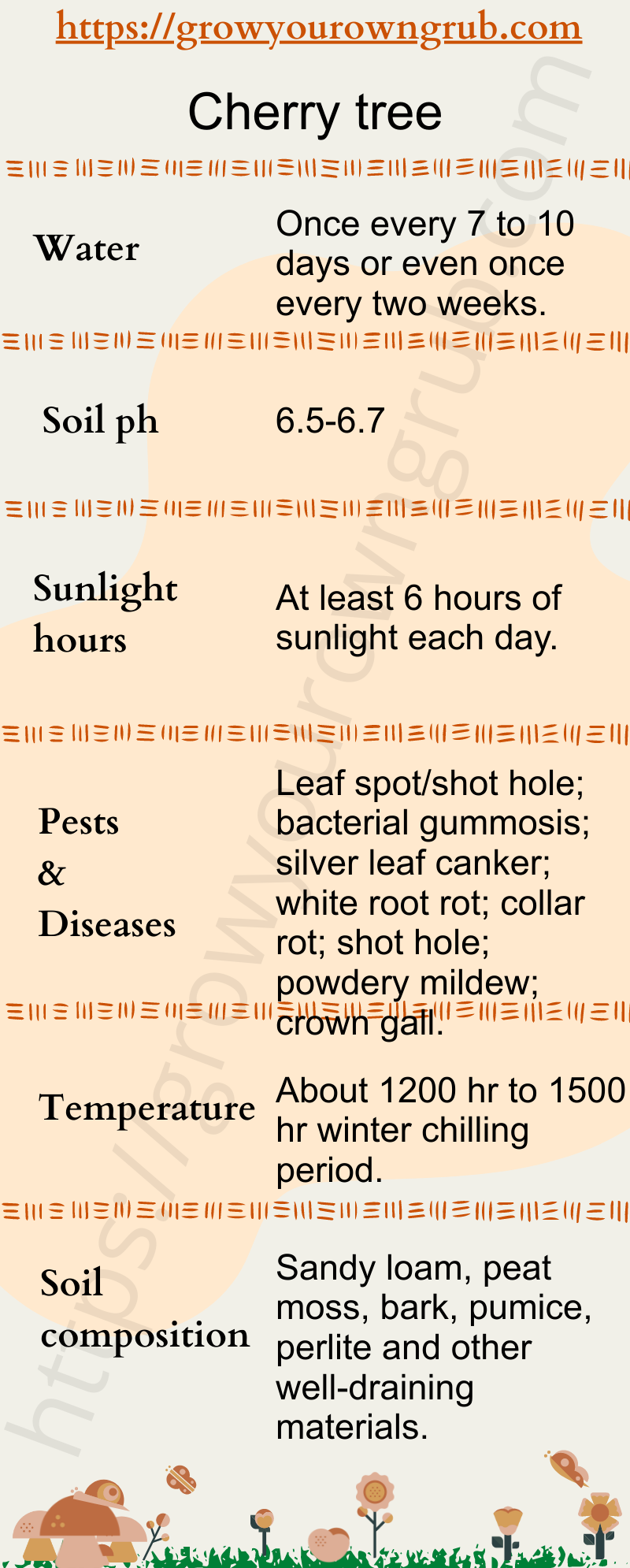 How to grow Cherry tree at home? Grow your own Grub!